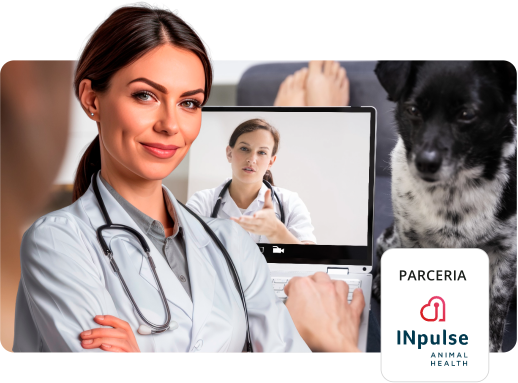 Laudos remotos de Eletrocardiografia Veterinária